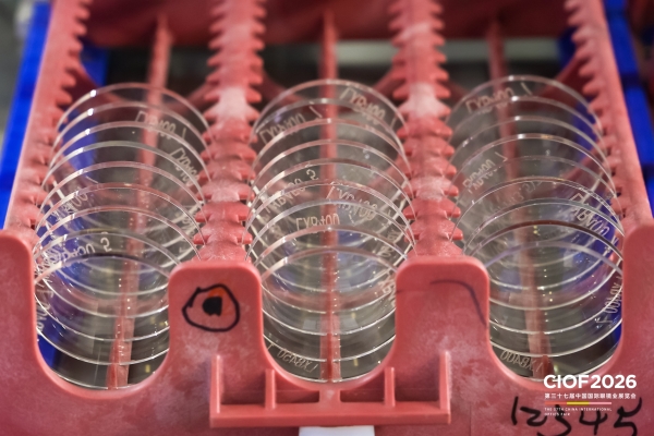 Lenses_2